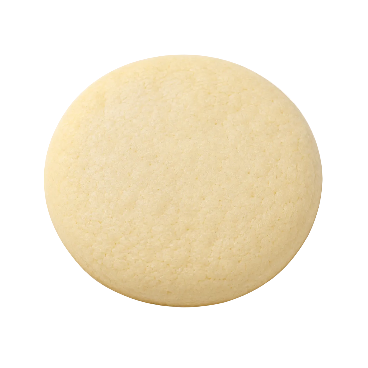 Plain Sugar Cookie